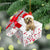 Cairn-Terrier In Gift Box Christmas Ornament
