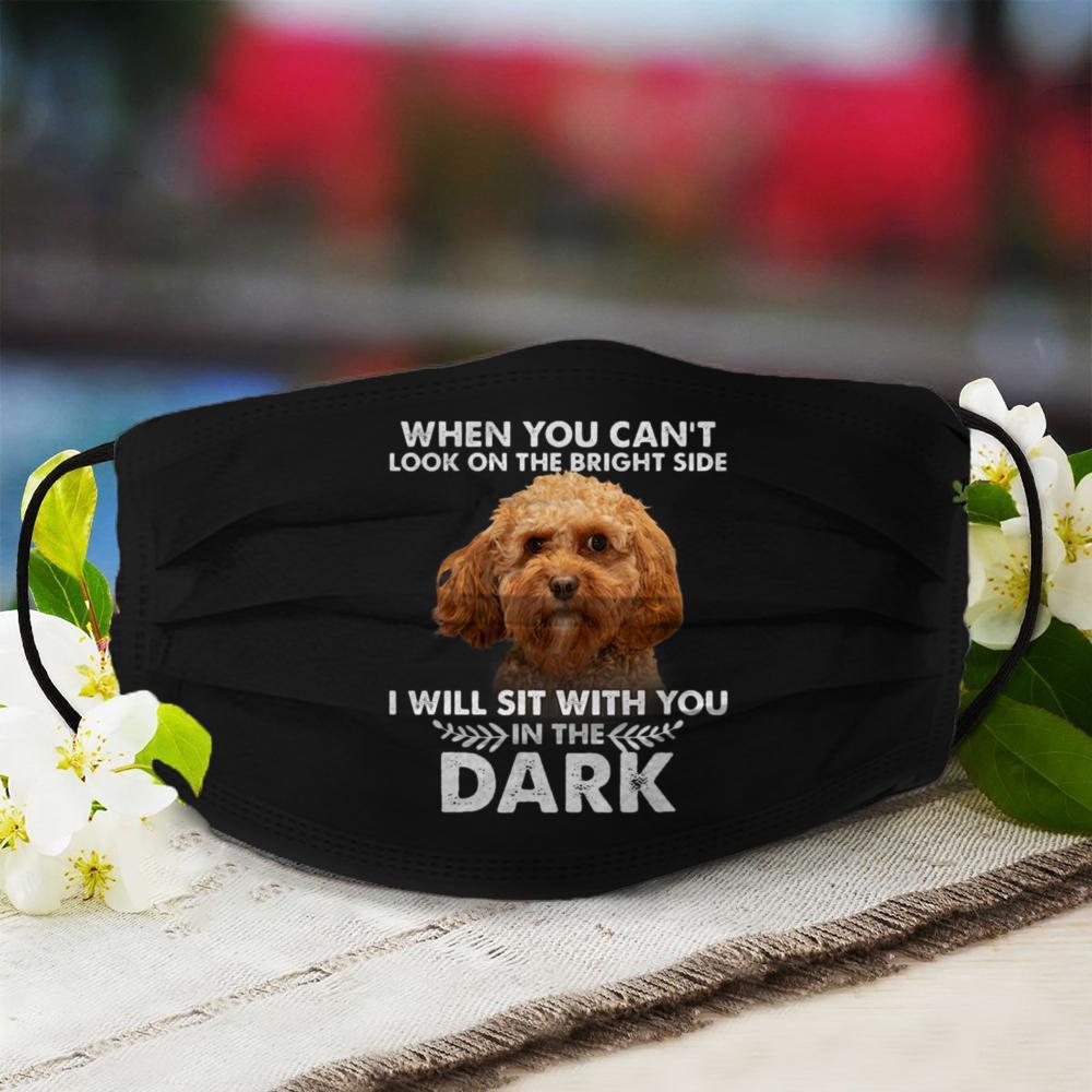 Cavapoo Sit With You  Veil