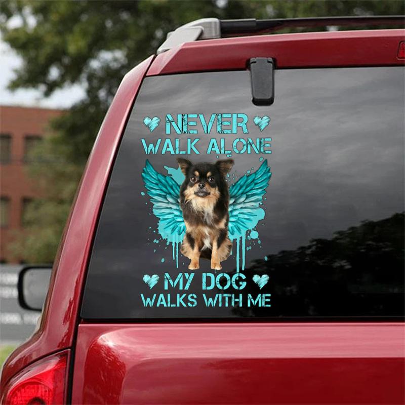 Chihuahua Long Haired Walks With Me Sticker