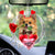 Chihuahua With Rose & Heart Balloon Ornament