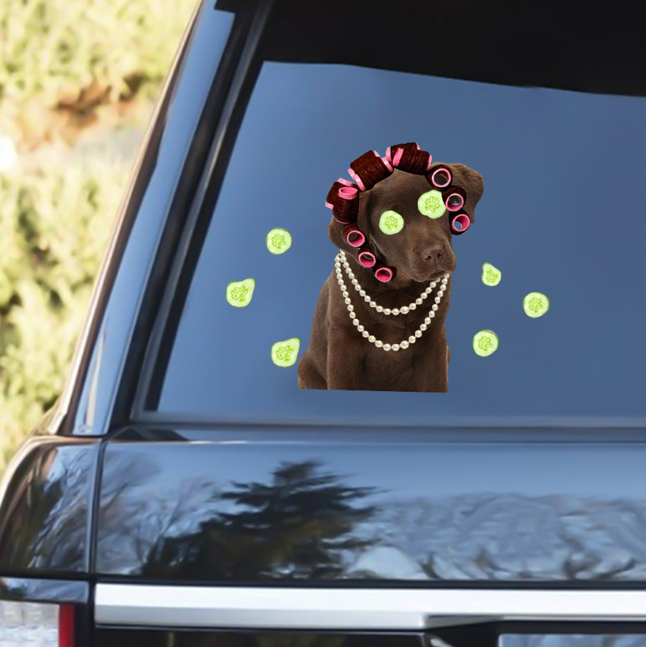 Chocolate Labrador With Hair Curler Funny Sticker