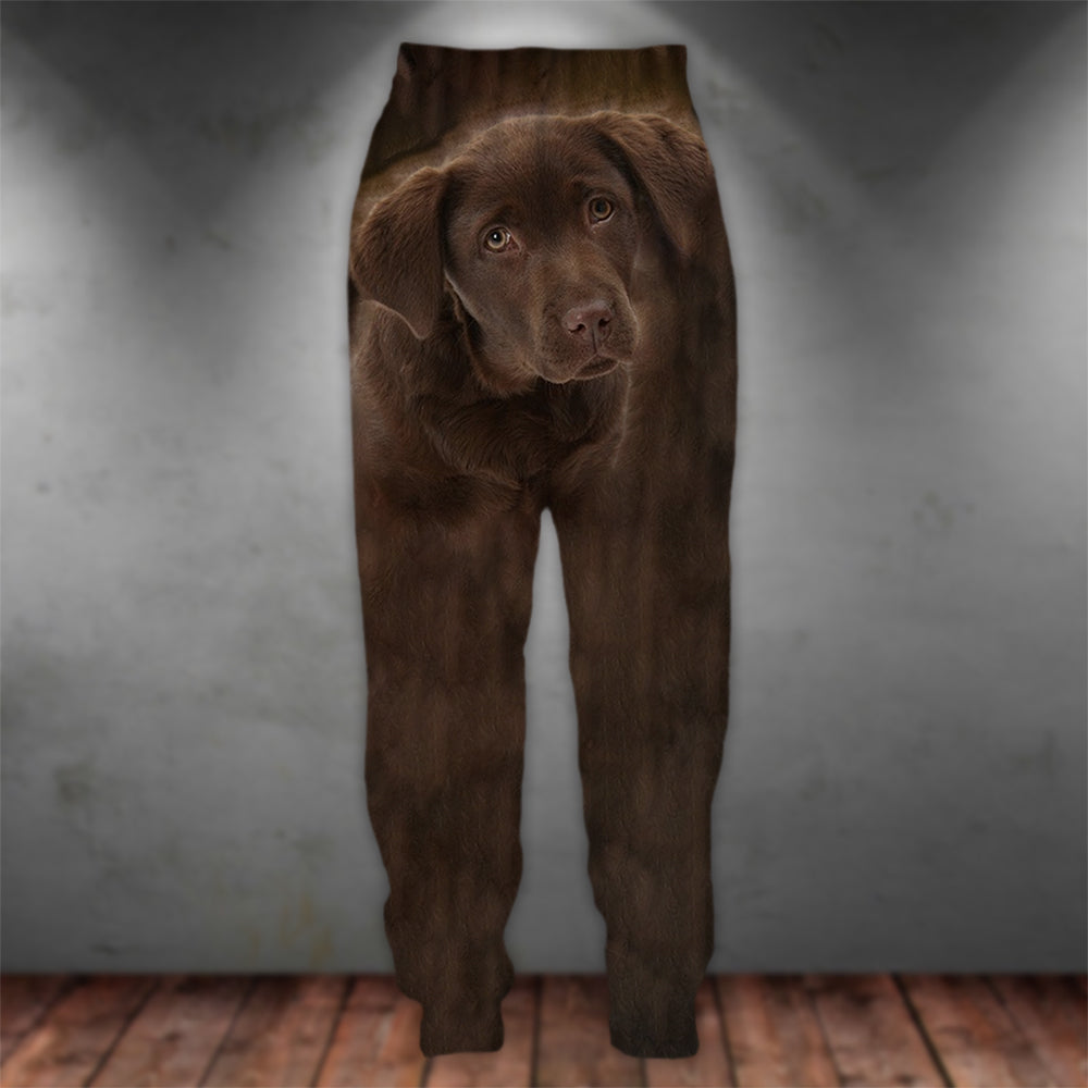 Chocolate Labrador 3D Graphic Casual Pants Animals Dog