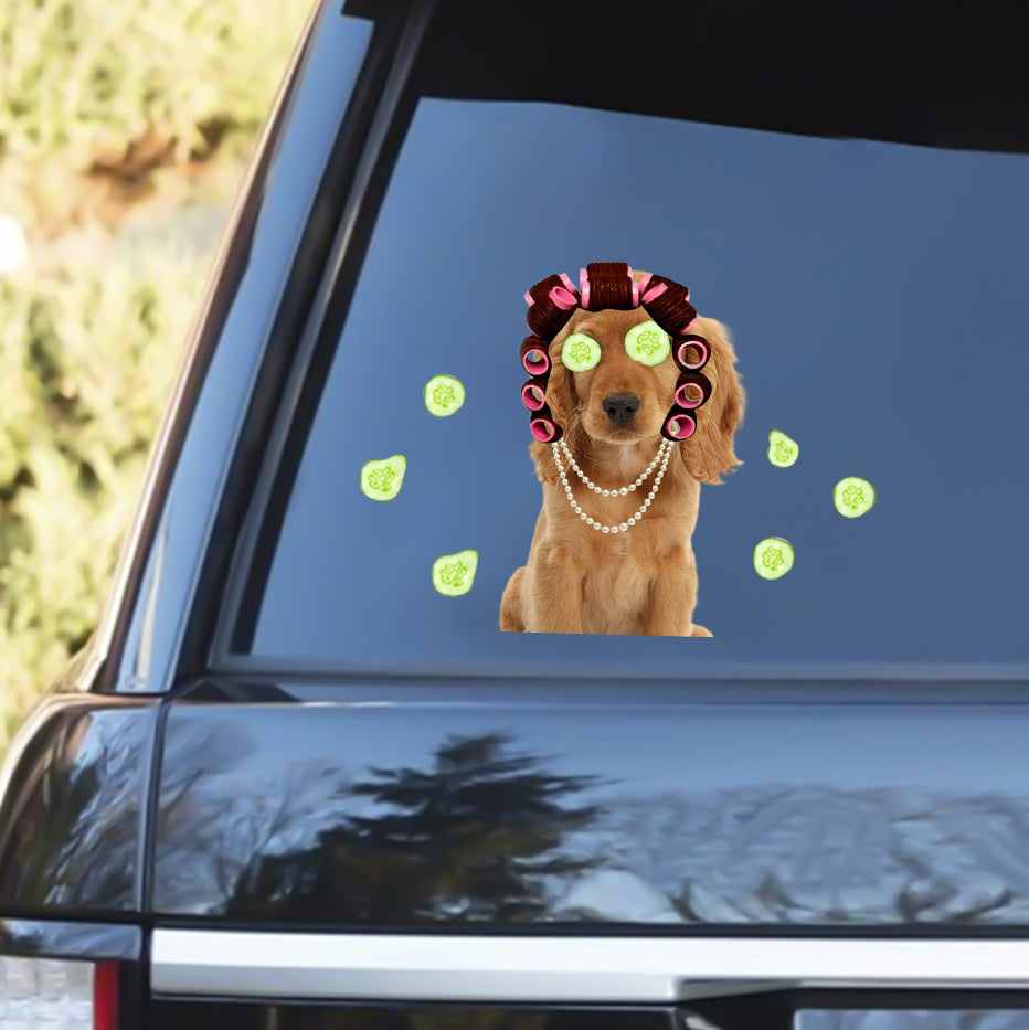 Cocker Spaniel With Hair Curler Funny Sticker