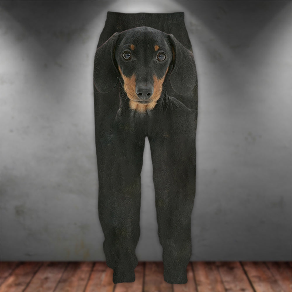 Dachshund 3D Graphic Casual Pants Animals Dog