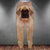 English Mastiff 3D Graphic Casual Pants Animals Dog