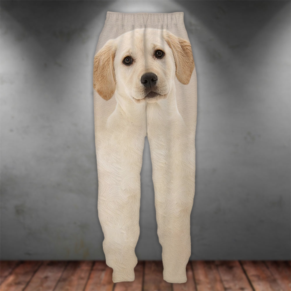 Labrador Retriever 3D Graphic Casual Pants Animals Dog