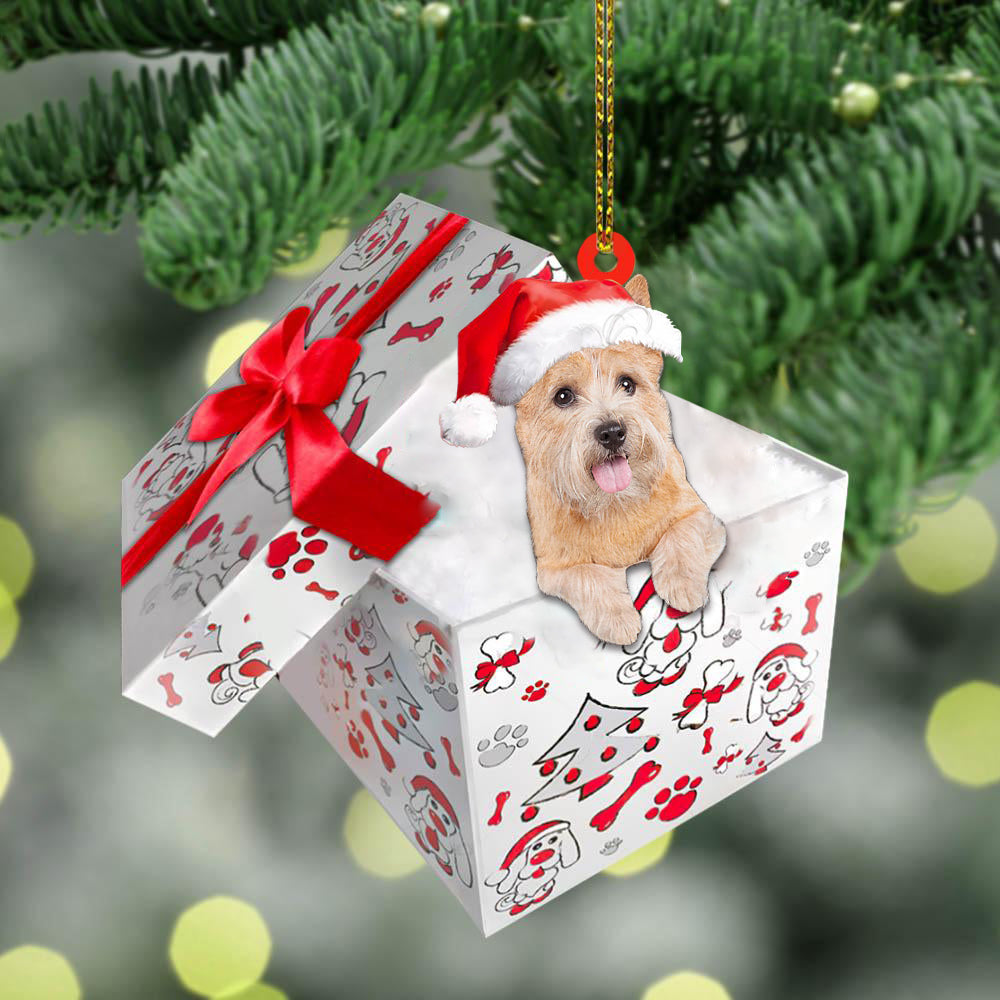 Norwich-Terrier In Gift Box Christmas Ornament