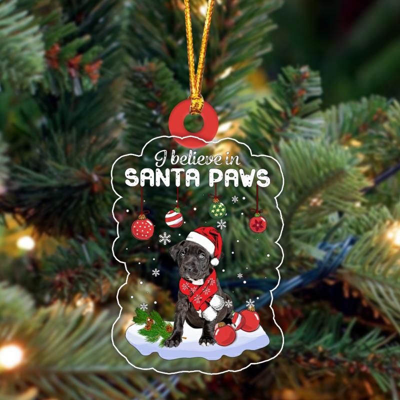 Pitbull 2 Christmas Ornament