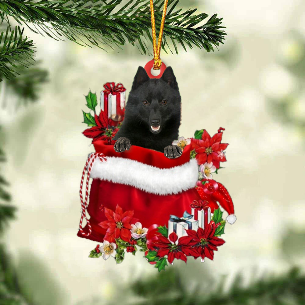 Schipperke In Gift Bag Christmas Ornament