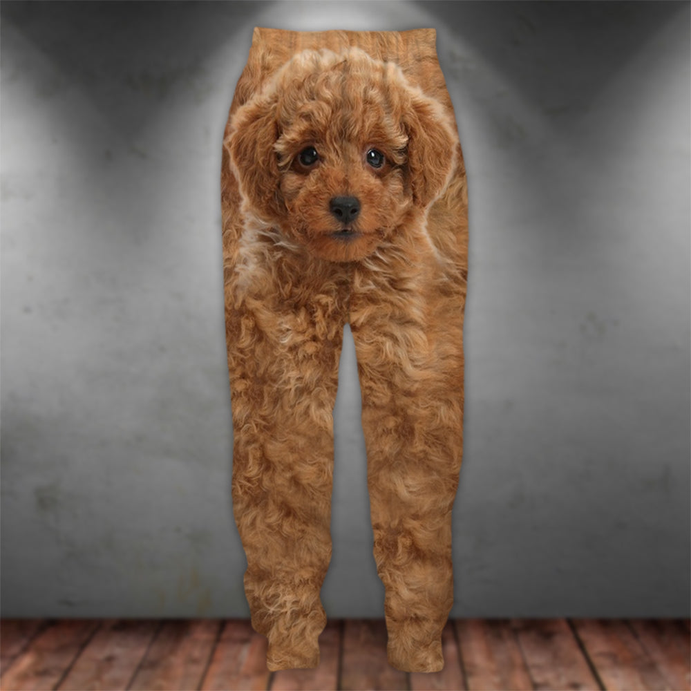 Toy Poodle 3D Graphic Casual Pants Animals Dog