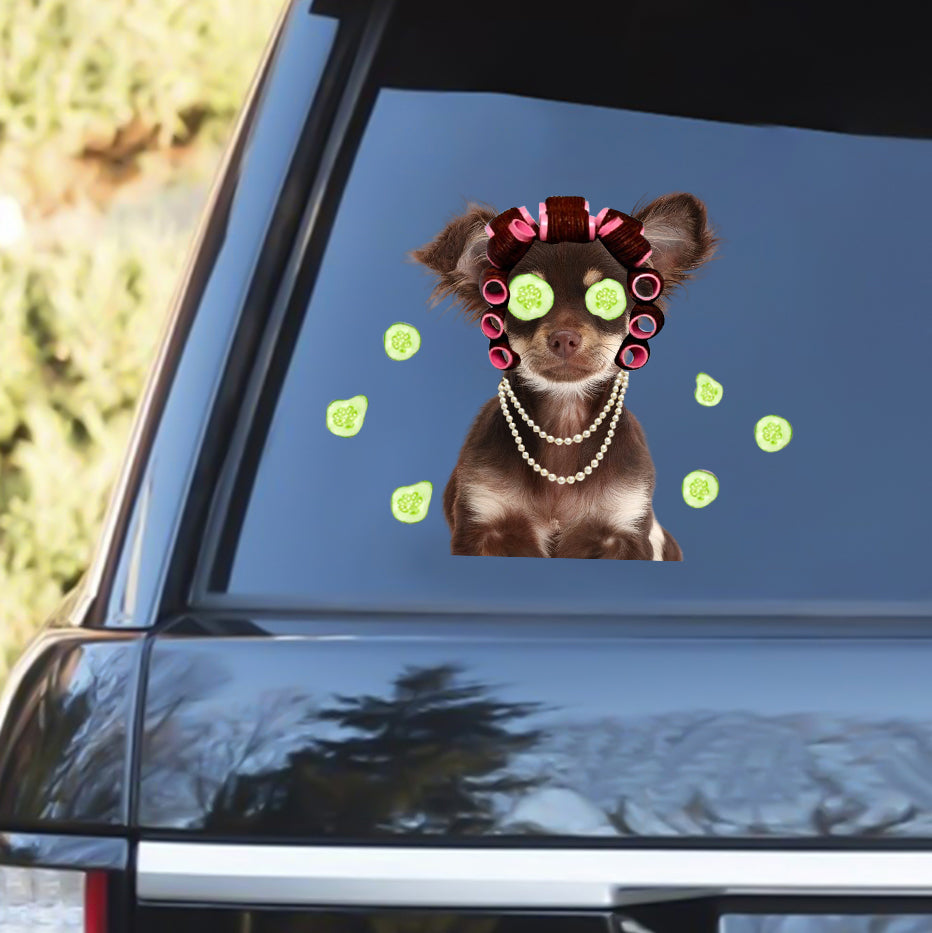 Chihuahua With Hair Curler Funny Sticker