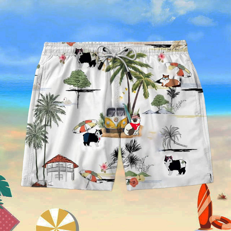 Ragdoll Cat Beach Shorts