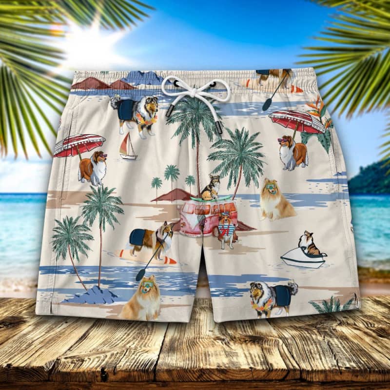 Rough Collie Summer Beach Shorts 2