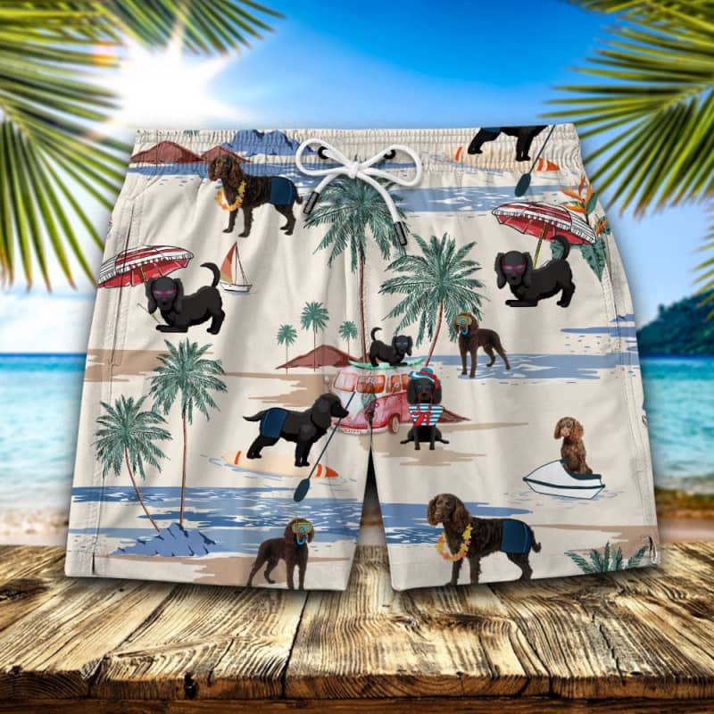 Spanish Water Dog Summer Beach Shorts 2